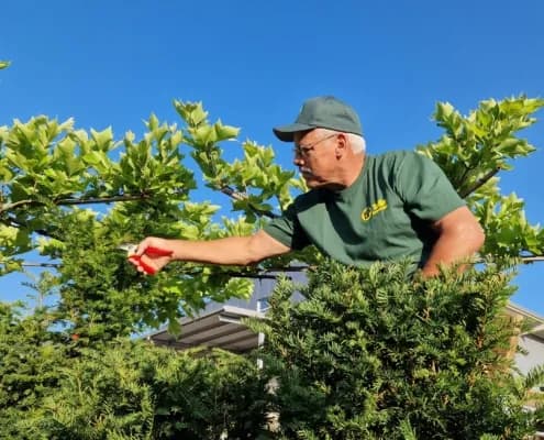 Yasiflor GmbH MANUFAKTUR GARTEN + WASSER – Projektbild 3