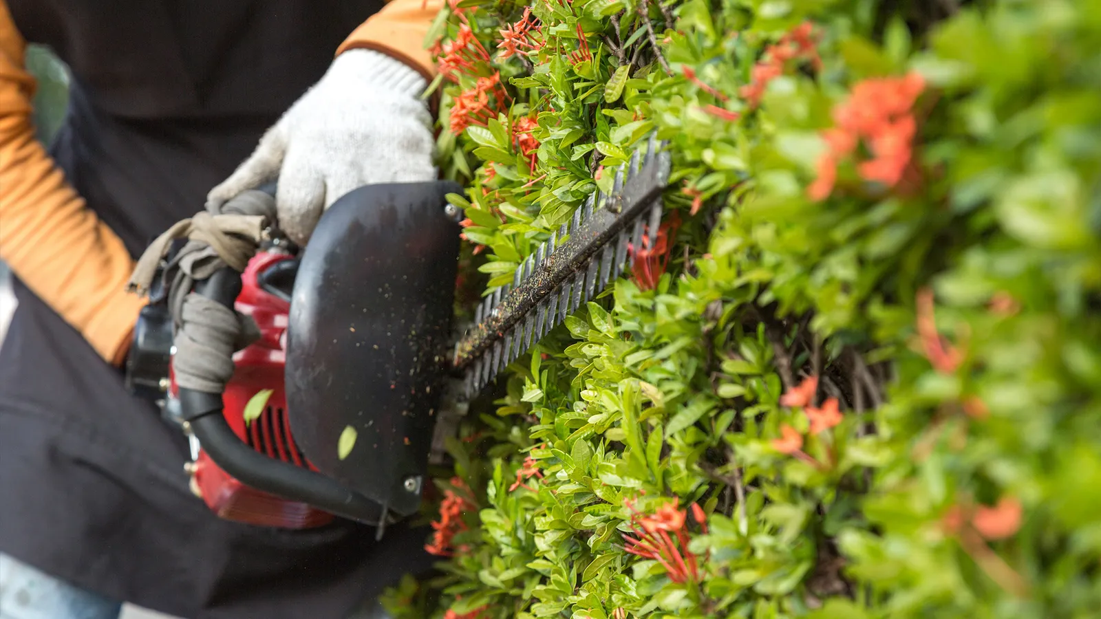 Stamm Gartenbau GmbH – Projektbild 5